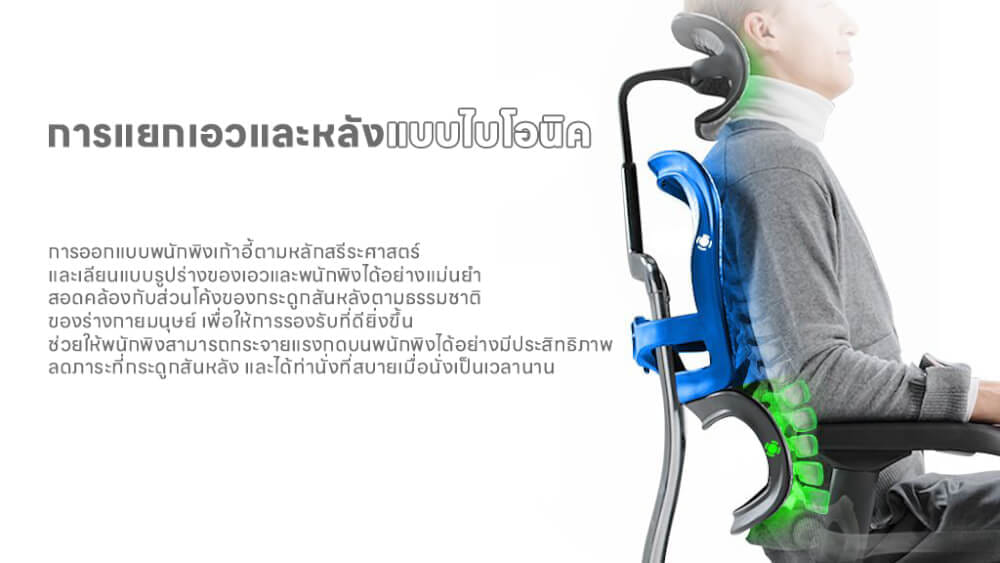 เก้าอี้เพื่อสุขภาพ DF PROCHAIR รุ่น Ergo Elite Ultra Plus สีเทา